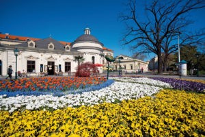 SOMMERURLAUB IN BADEN BEI WIEN