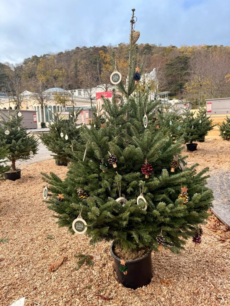 Winterliche Wohlfühlmomente: Advent, Events und Angebote im Hotel Winterliche Wohlfühlmomente: Advent, Events und Angebote im Hotel
